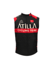 Atilla Bisvo Klasik Yelek